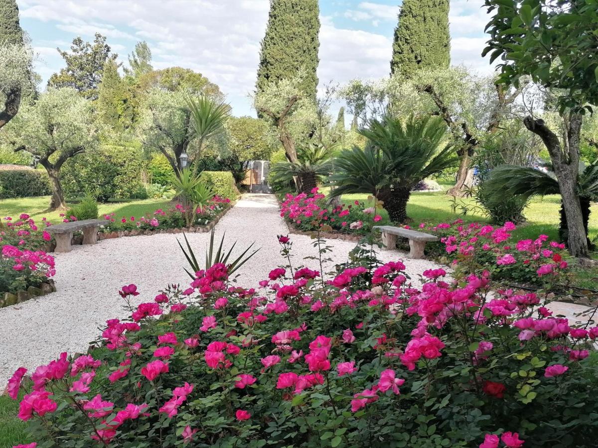 Villa Paradiso Apartment Сирмионе Екстериор снимка